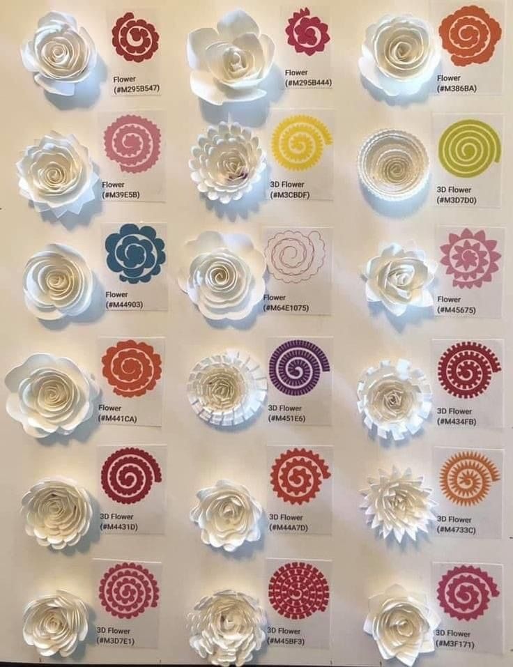 Cricut Paper Flowers Complete Crafting Guide