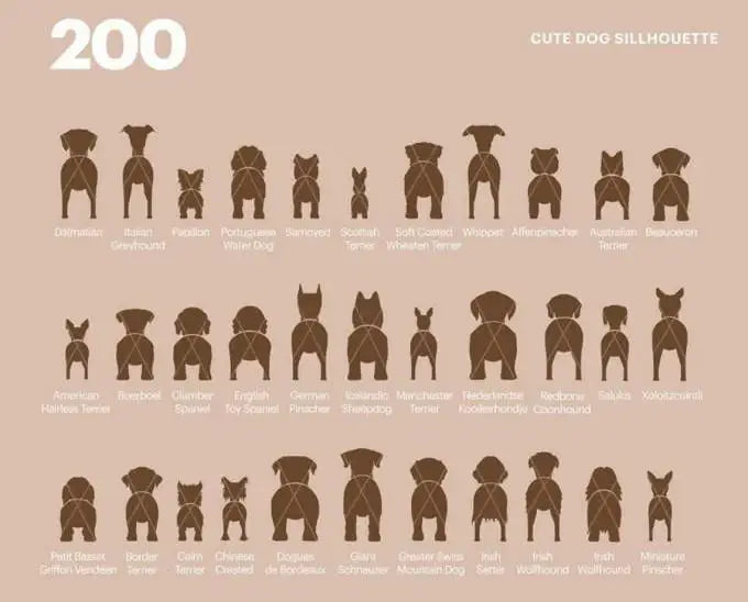 +200 Dog Silhouette Bundle SVG