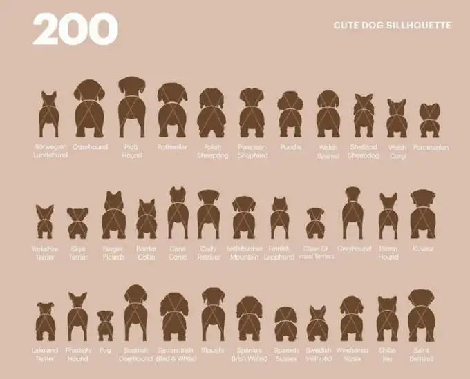 +200 Dog Silhouette Bundle SVG